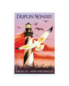 Duplin Lighthouse Postcard