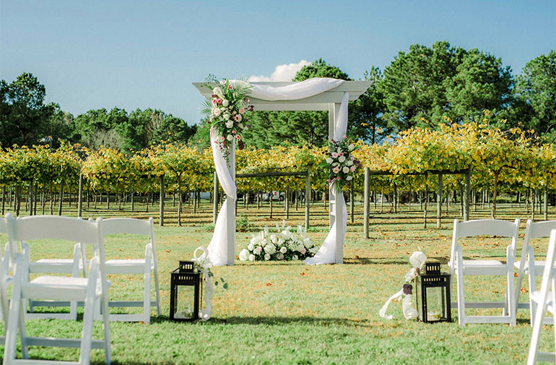 Vineyard Wedding